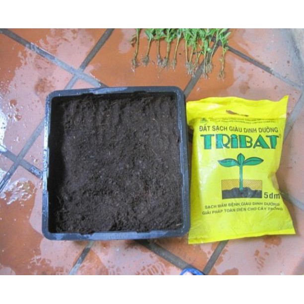 Đất Tribat trồng rau sạch, cây cảnh 5dm3