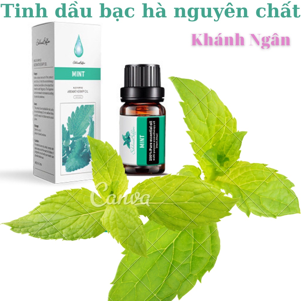 Tinh dầu thiên, tinh dầu thơm thiên nhiên giúp thơm phòng, xả stress, kích thích miễn dịch
