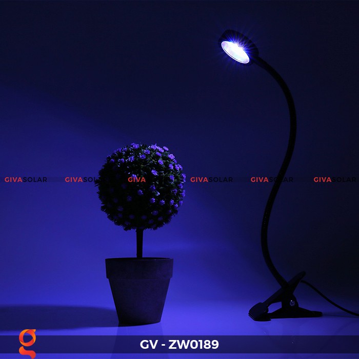Đèn quang hợp trong cây để bàn GIVASOLAR GV-ZW0189 (20W)