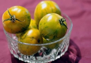 HẠT GIỐNG CÀ CHUA ZEZA VÀNG