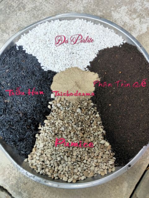 Đá Pumice ( Giá thể trồng sen đá-xương rồng)