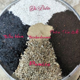 Đá Pumice ( Giá thể trồng sen đá-xương rồng) 1kg