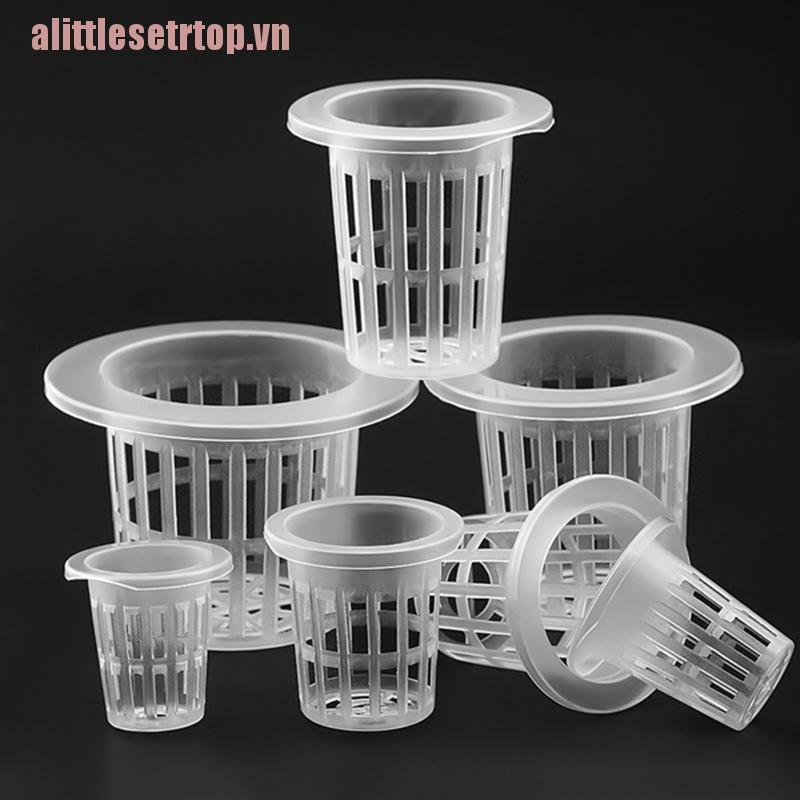 Set 10 Rổ Trồng Cây Thủy Canh Tiện Lợi