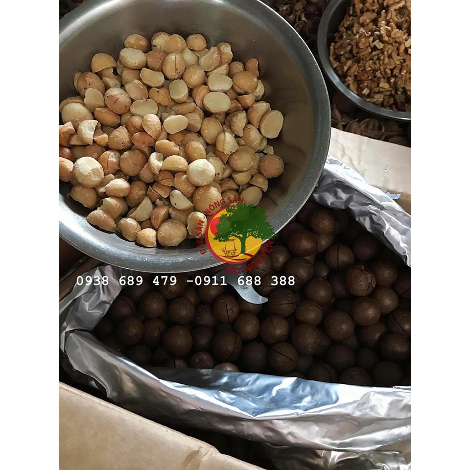 Macca Maccadamia Kernel (nguyên vỏ)