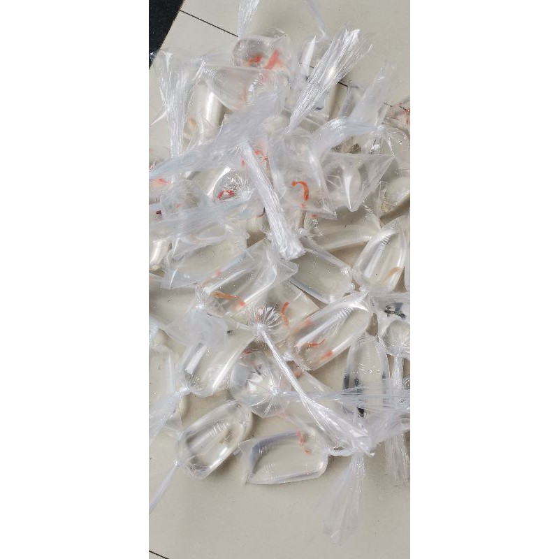 1 kg/size túi chuyên dụng đóng cá cảnh - Nga Guppy có 7 size 9*31,11*35/ 15*35/ 15*50/20*60/35*75/40*75,50*85,