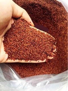 NHŨ HOA ĐẮP MẶT