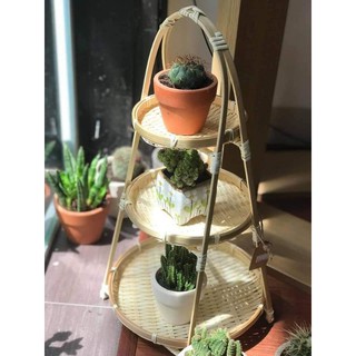 Mẹt tre chia 3 tầng trang trí cây cảnh nhỏ