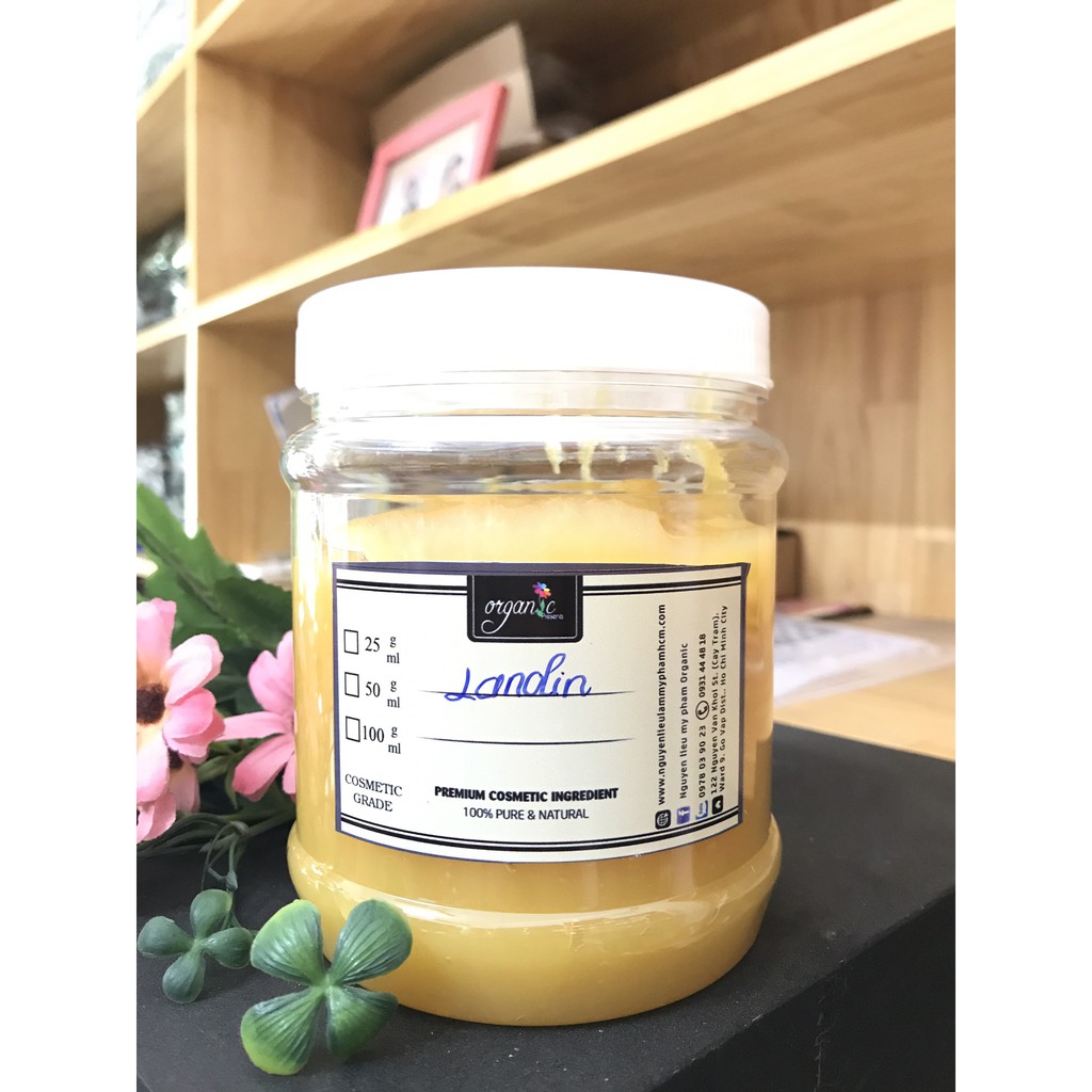 HOẠT CHẤT LÀM MỀM MÔI- LANOLIN MỠ CỪU