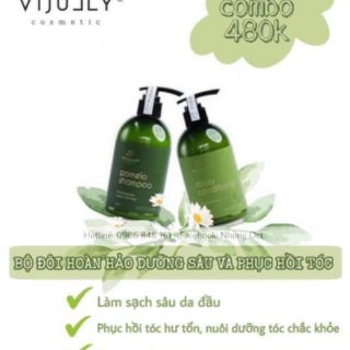 Combo 2 Món Dầu Gội , Xả ViJully