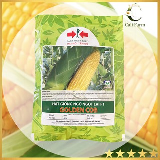 Hạt giống Bắp ( Ngô) Mỹ Golden Cob Hai Mũi Tên gói 50g- Trái Vàng Ngọt Năng Suất Cao, Thơm Ngon, Kháng Bệnh Tốt