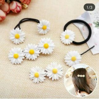 Set 10 kẹp tóc 2 bôg cúc họa mi