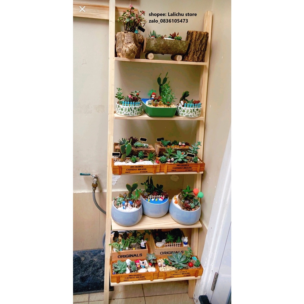 Kệ gỗ hình bậc thang trang trí nhiều ngăn