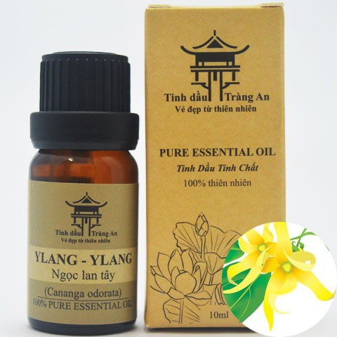 Tinh Dầu Thiên Nhiên Nguyên Chất Chai Nhỏ Giọt 10ml, Chai Treo Xe Hơi - TINH DẦU TRÀNG AN