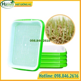 Combo 1kg hạt giống mầm lúa mạch và 5 khay nhựa trồng rau mầm thủy canh - hạt giống H2 seeds