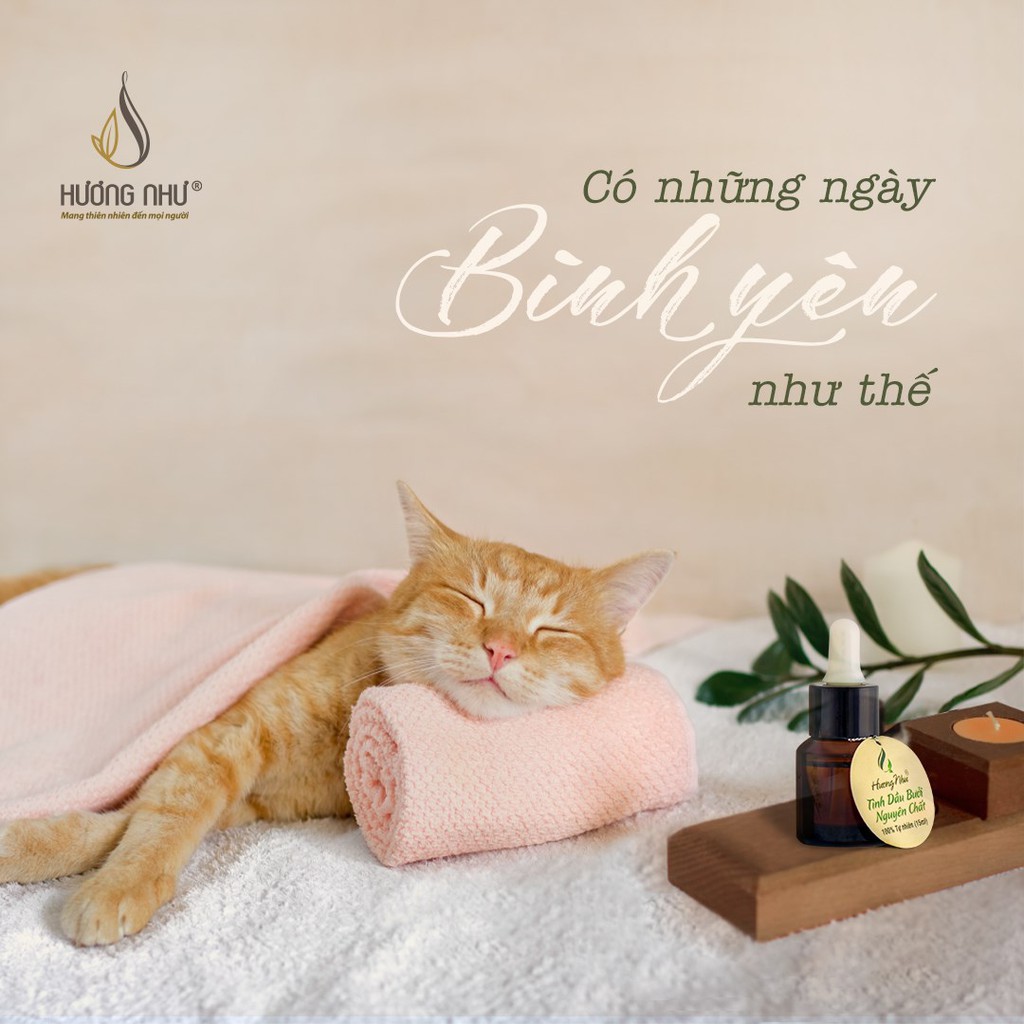 [GIẢM RỤNG TÓC, DÀI TÓC, MỌC TÓC] Tinh dầu bưởi kích thích mọc tóc Hương Như | BigBuy360 - bigbuy360.vn