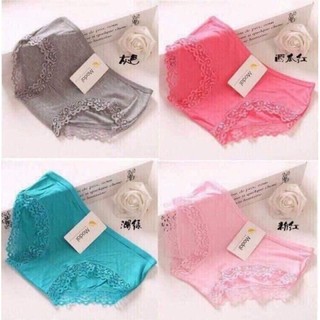 Combo 10 quần lót modan cotton phối ren