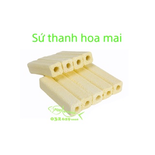 Sứ lọc thanh hoa mai