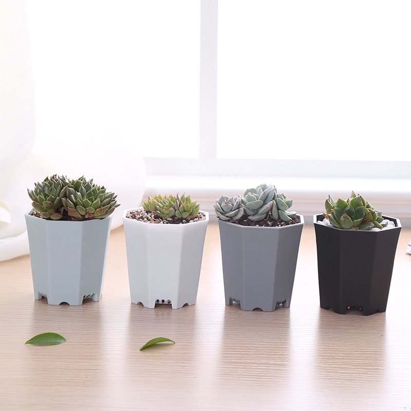 Chậu Nhựa Dày Hình Bát Giác Trồng Hoa / Cây Mọng Nước Để Bàn