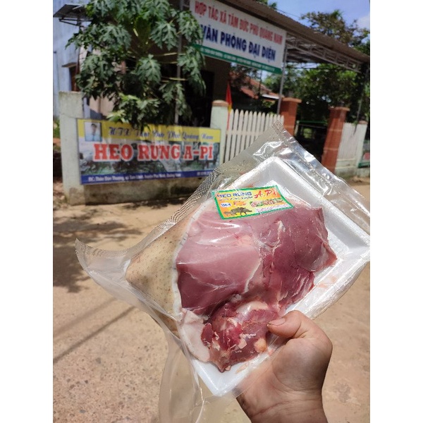 Thịt heo rừng lai APi - Thịt heo hữu cơ