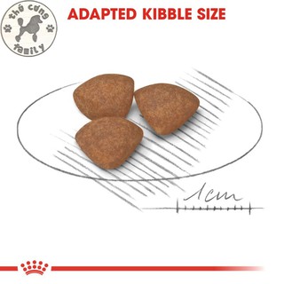 ROYAL CANIN MINI PUPPY