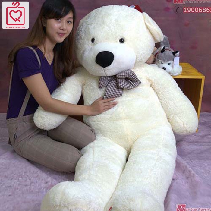 Gấu bông 1m8 khổng lồ Teddy Boyds