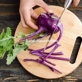 50 H  - HẠT GIỐNG SU HÀO TÍM KHÔNG SƠ CỦ TO