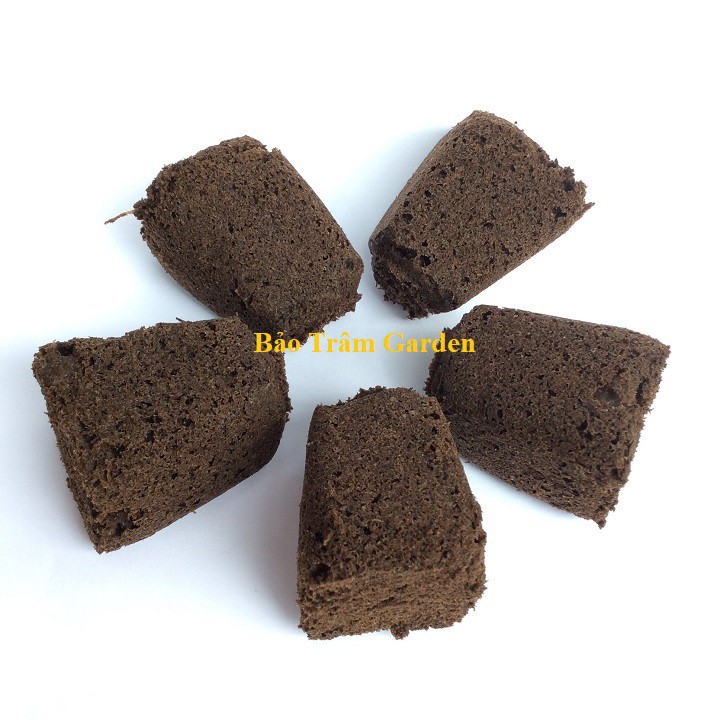 Set 5 viên mút ươm hữu cơ ROOT RIOT nhập khẩu Mỹ ROOT RIOT chuyên ươm hạt, giâm cành. ươm kie phong lan