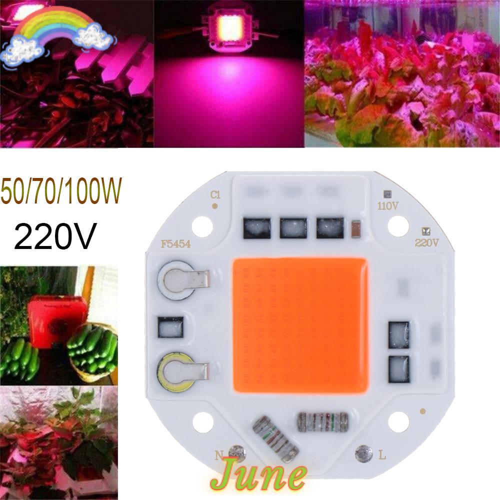 Chip Đèn Led Cob 220v 50w 70w 100w Chuyên Dụng Trồng Cây Trong Nhà