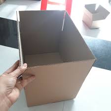 Bộ 10 Hộp Carton 25x22x20 Cm Thùng Carton Giá rẻ