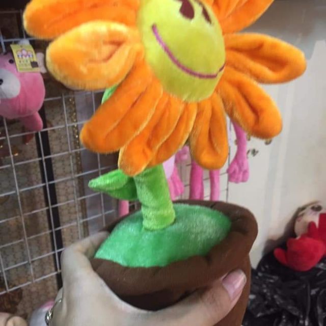 Gấu bông rẻ đẹp