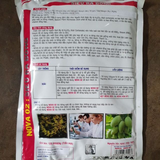 Thuốc Kích Thích Ra Hoa Xoài SIÊU RA BÔNG