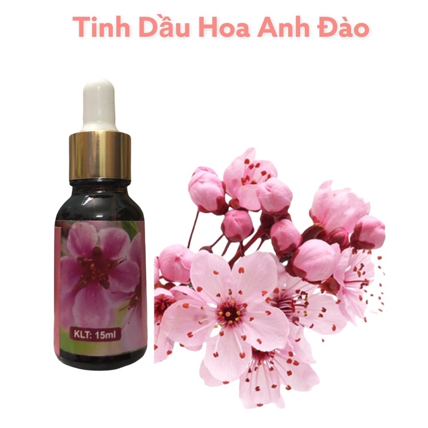 Tinh Dầu Hoa Anh Đào Nguyên Chất Thiên Nhiên 100% Lọ 10ml Tinh Dầu Hoa Anh Đào Thơm Phòng Giúp Đuổi Muỗi Khử Mùi