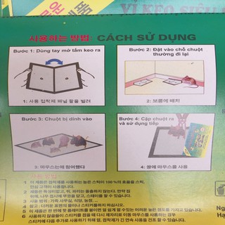 Bẫy ruồi Chuột 10 vỉ