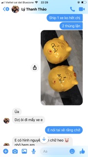 Heo đất handmade tròn to