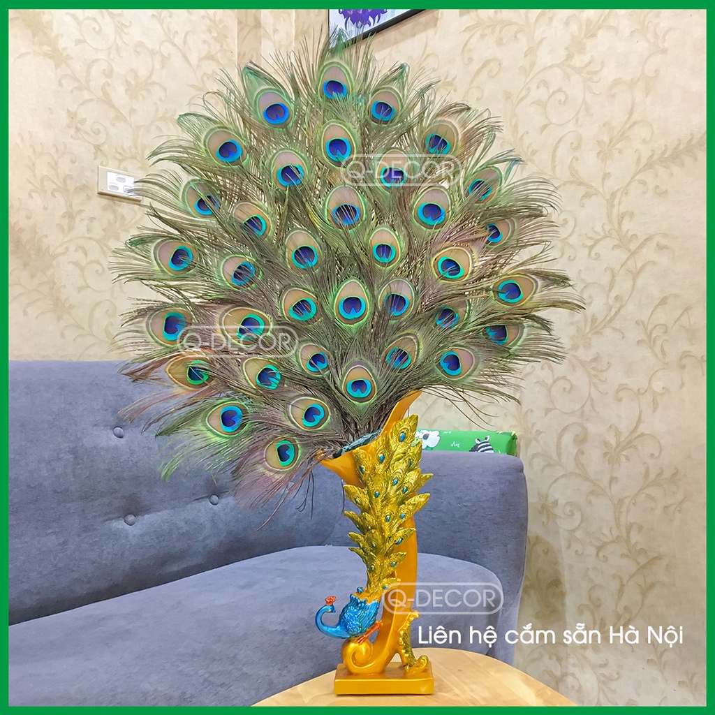 Bình cắm lông công Q Decor và 36 cành lông công phong thủy mắt to 4-6cm