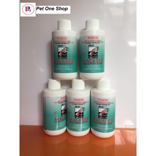 Sữa Tắm Malaseb Hỗ Trợ Điều Trị Các Bệnh Ngoài Da