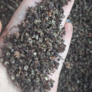 (1kg) Mắc khén Loại I