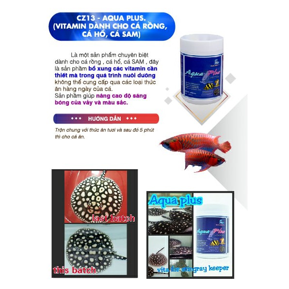 Vitamin AQUA LUS CZ13 Bổ Sung Dinh Dưỡng Tăng Sức Đề Kháng.Nâng Cao Độ Sáng Bóng Của Vảy Và Sàu Sắc Cho Cá Cảnh