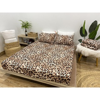 Bộ ga gối 1 ga 2 vỏ gối nằm cotton poly 1mx1m9,1m6x2m-set 3 món,mẫu da báo nâu