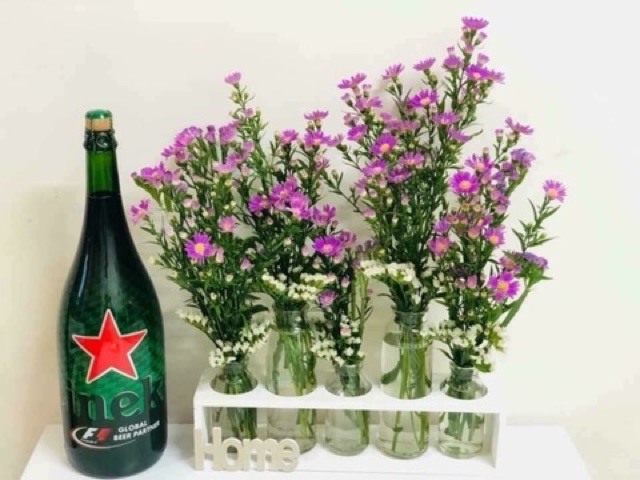 Sét 5 lọ hoa thuỷ tinh HOME