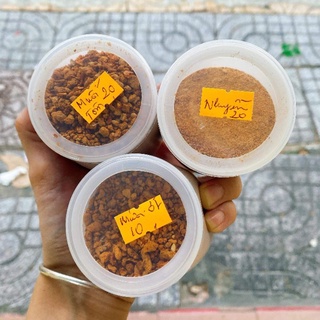 💥 Muối tôm Tây Ninh 500G💥