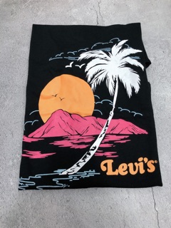 🔆🔆 ÁO THUN NỮ BASIC TSHIRT LEVIS VNXK