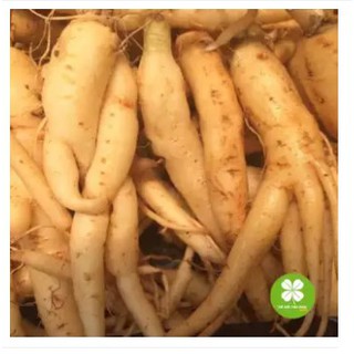 Đẳng Sâm (1Kg khô) - LCS082