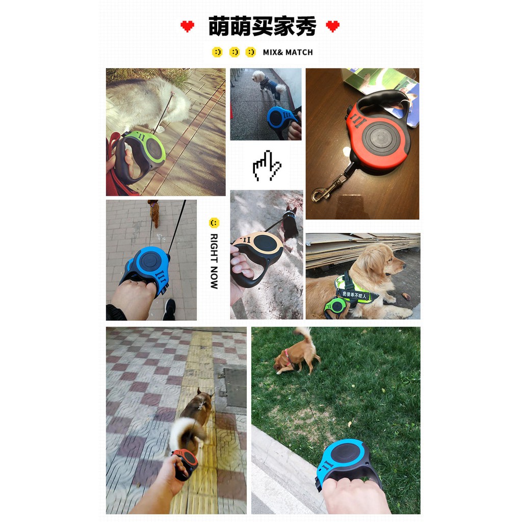 Dây Dắt Thú Cưng Đi Dạo Rút Gọn Linh Hoạt Dài 3/5M