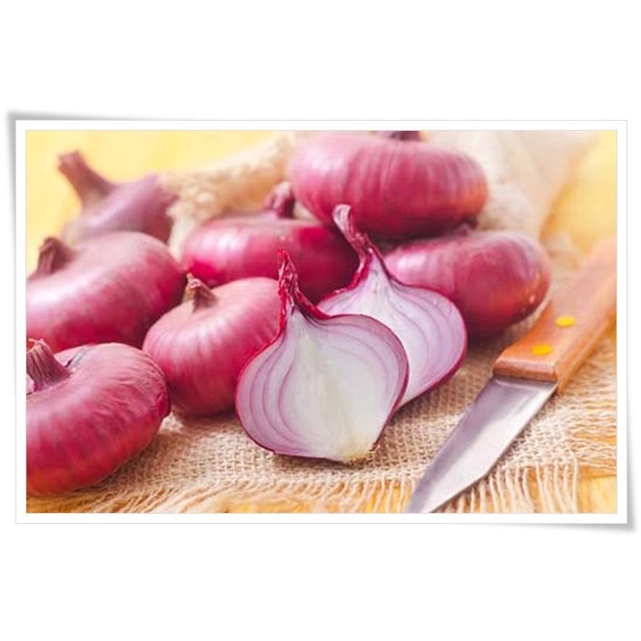 Hạt giống hành tây đỏ - rau củ quả trồng chậu, sân vườn ban công ngon giòn ngọt nảy mầm cao 2g SALAD RED 027