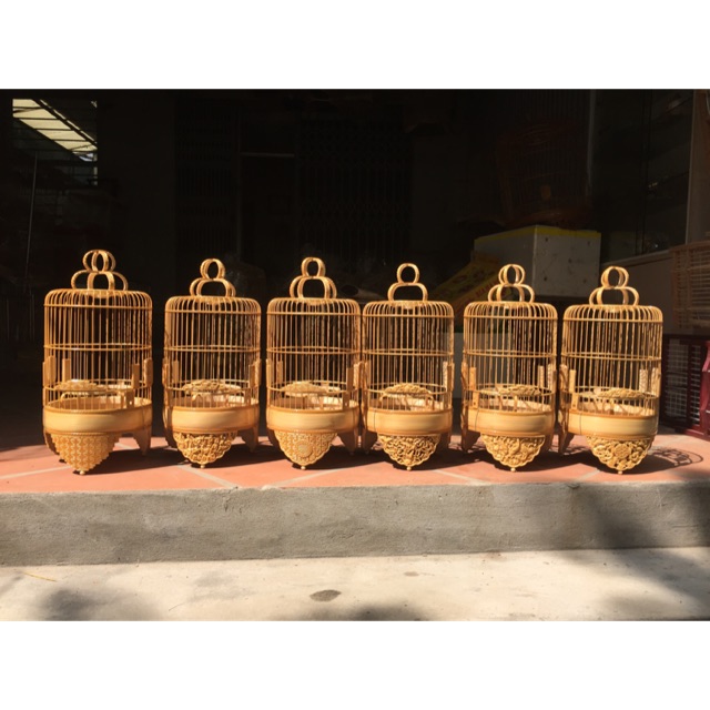 Lồng khuyên đục