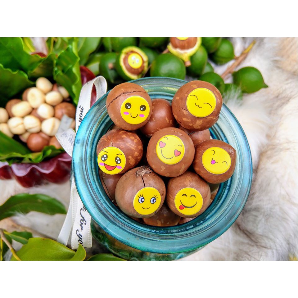 [Mã GROSALE2703 giảm 8% đơn 250K] 500g MACCA DAKLAK loại 1 LÊ NGUYỆT NỨT VỎ CHUẨN