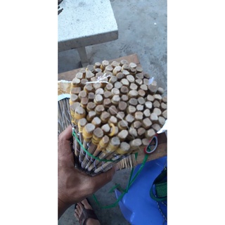 50 CẦN CÂU CẮM ẾCH TÓM SẴN