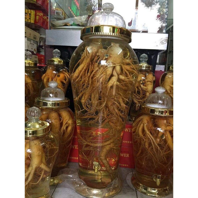BÌNH RƯỢU SÂM NGÂM🌪🌪 💥💥💥TẾT UỐNG THOẢ GA💥💥💥