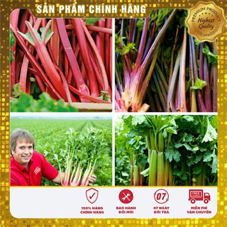 Hạt Giống Cần Tây Đỏ Hà Lan(2gr)